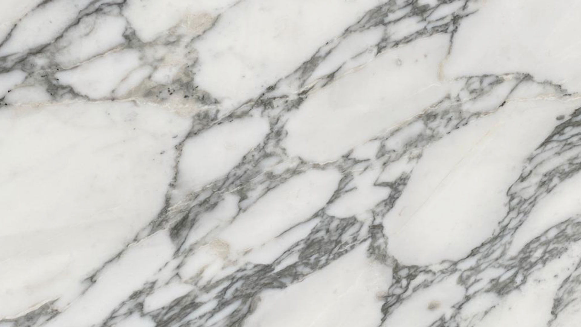 Prezzi lastre marmo di Carrara - Vendita marmi Carrara Home - Maac